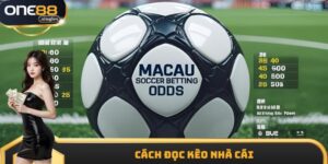 Cách Đọc Kèo Nhà Cái Chuẩn Xác, Tăng Cơ Hội Thắng Cược