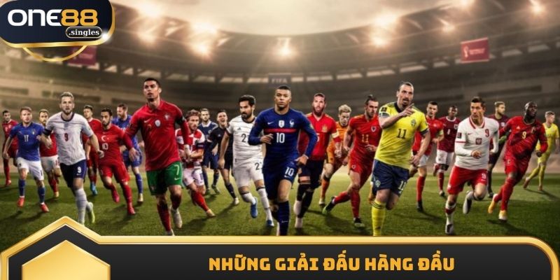 Những giải đấu hàng đầu 