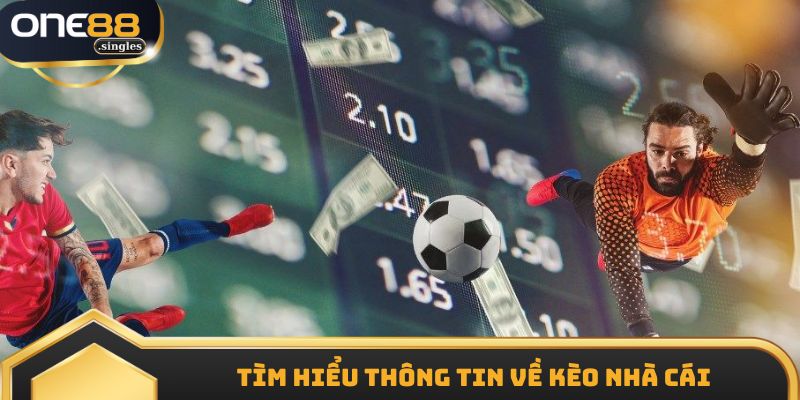 Tìm hiểu thông tin về kèo nhà cái